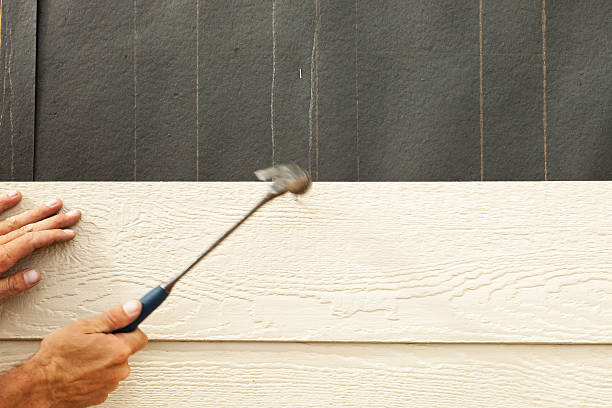 Best Fiber Cement Siding Installation  in Drexel Heights, AZ